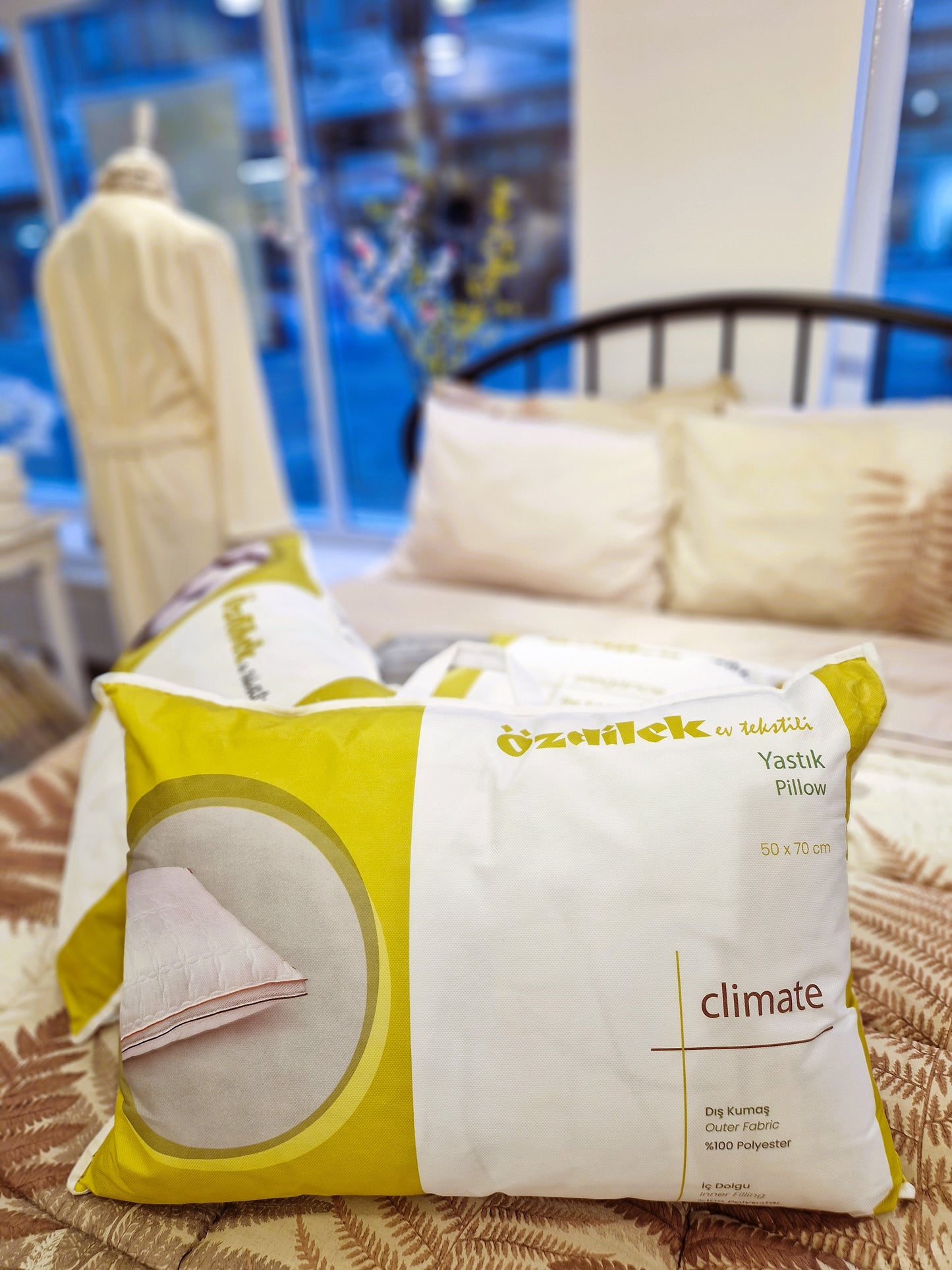 Perna OZDILEK  - CLIMATE